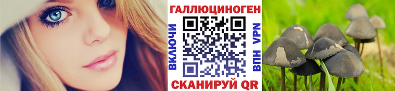 сколько стоит  Красноперекопск  Галлюциногенные грибы Psilocybe 